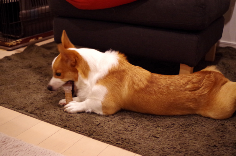 f:id:colopon:20140515203854j:plain