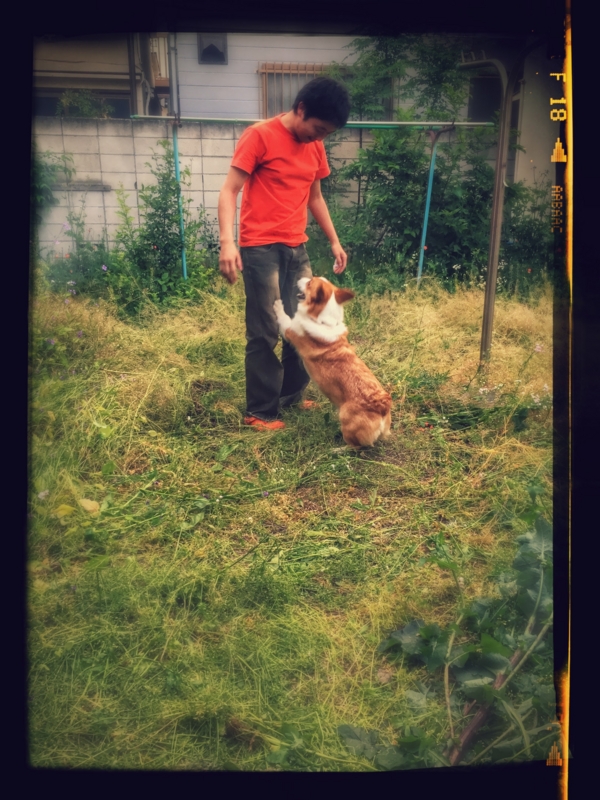 f:id:colopon:20150503180216j:plain