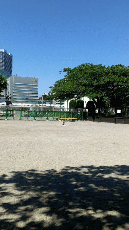 f:id:colopon:20150529225055g:plain