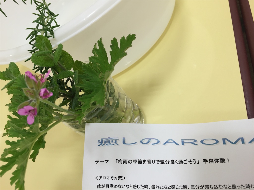 f:id:colortoiro:20160603095754j:image f:id:colortoiro:20160603095754j:image