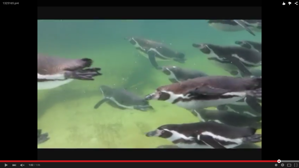 f:id:communication_2_2015:20150728101652p:plain f:id:communication_2_2015:20150728101652p:plain