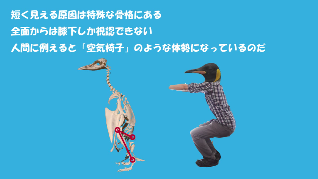 f:id:communication_2_2015:20150728110233p:plain f:id:communication_2_2015:20150728110233p:plain