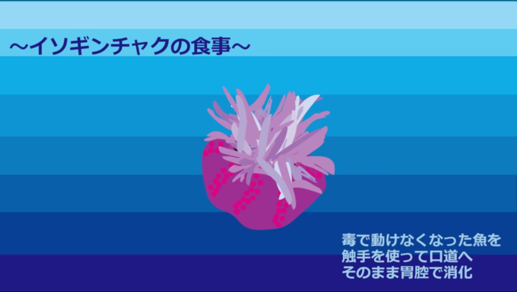 f:id:communication_2_2015:20150728111522p:plain f:id:communication_2_2015:20150728111522p:plain