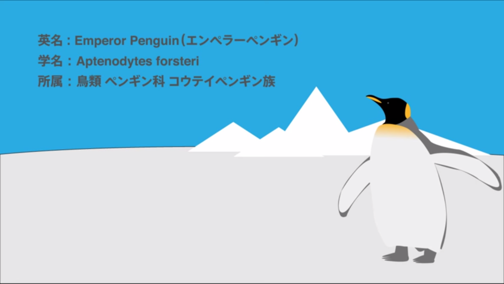 f:id:communication_2_2015:20150728111534p:plain f:id:communication_2_2015:20150728111534p:plain