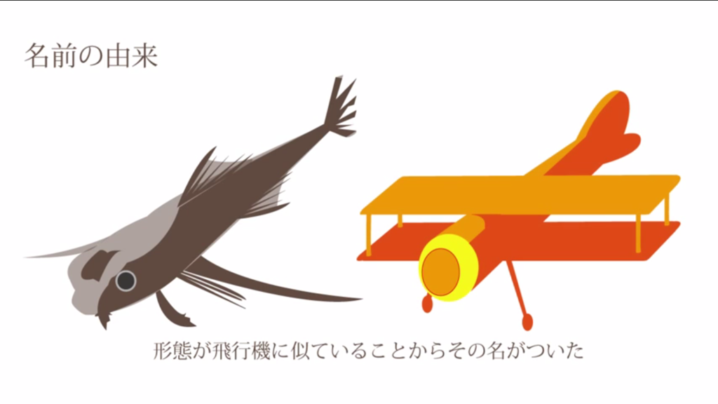 f:id:communication_2_2015:20150728111602p:plain f:id:communication_2_2015:20150728111602p:plain