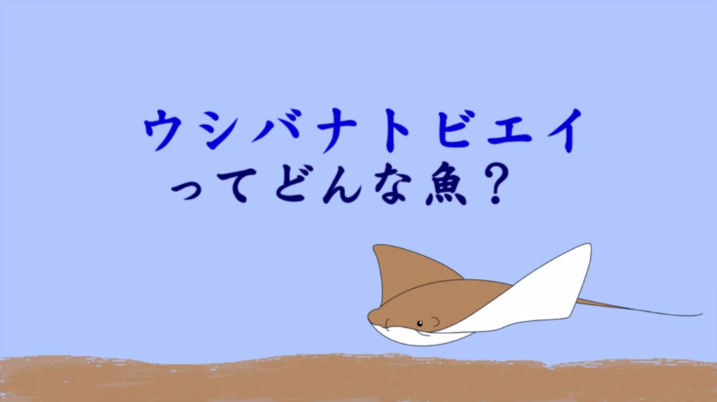 f:id:communication_2_2015:20150728111634p:plain f:id:communication_2_2015:20150728111634p:plain