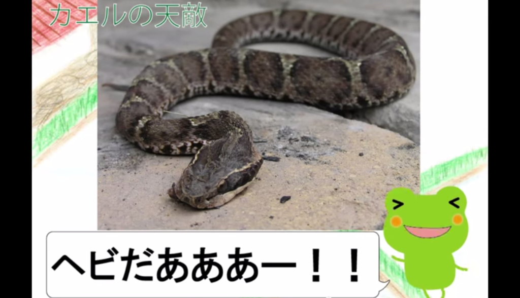 f:id:communication_2_2015:20150728111726p:plain f:id:communication_2_2015:20150728111726p:plain