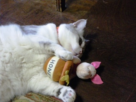 f:id:cookingenglish0508:20110805090157j:image f:id:cookingenglish0508:20110805090157j:image