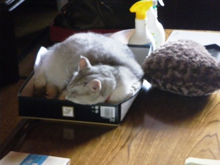 f:id:cookingenglish0508:20110818080503j:image f:id:cookingenglish0508:20110818080503j:image