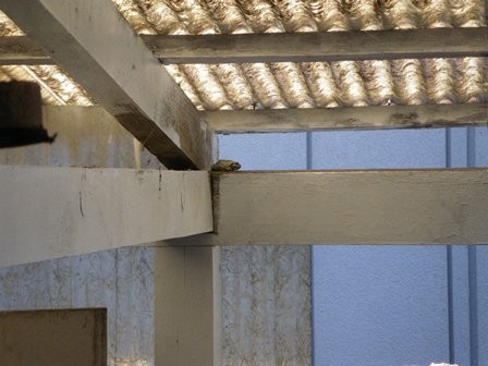 f:id:cookingenglish0508:20110906132033j:image f:id:cookingenglish0508:20110906132033j:image