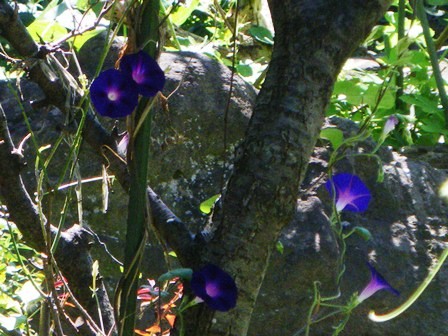 f:id:cookingenglish0508:20110907101519j:image f:id:cookingenglish0508:20110907101519j:image