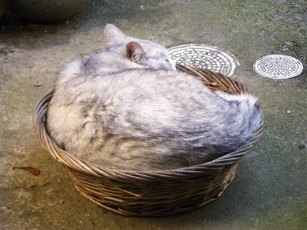 f:id:cookingenglish0508:20150517140216j:plain