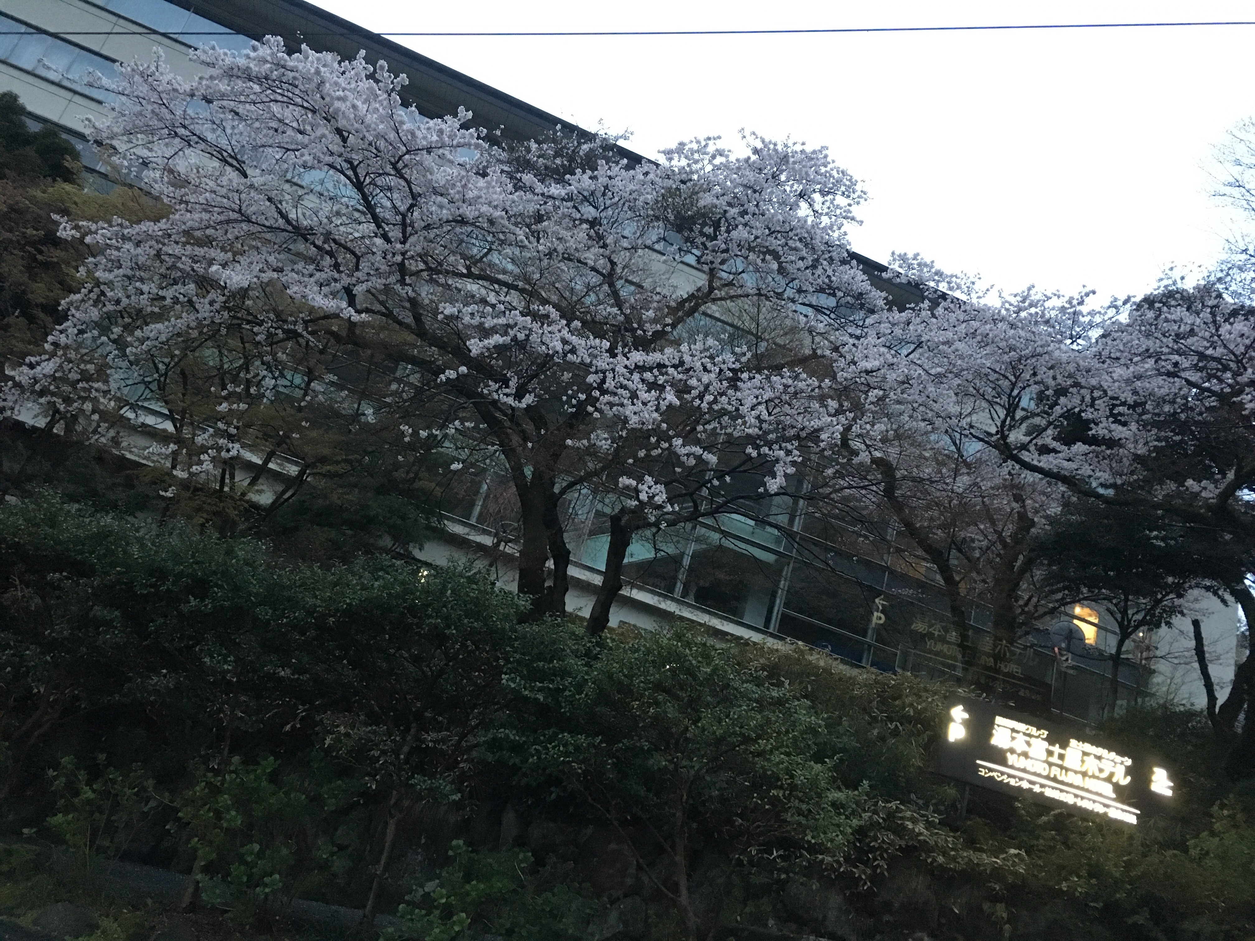 f:id:cooling1989:20160405043856j:image f:id:cooling1989:20160405043856j:image