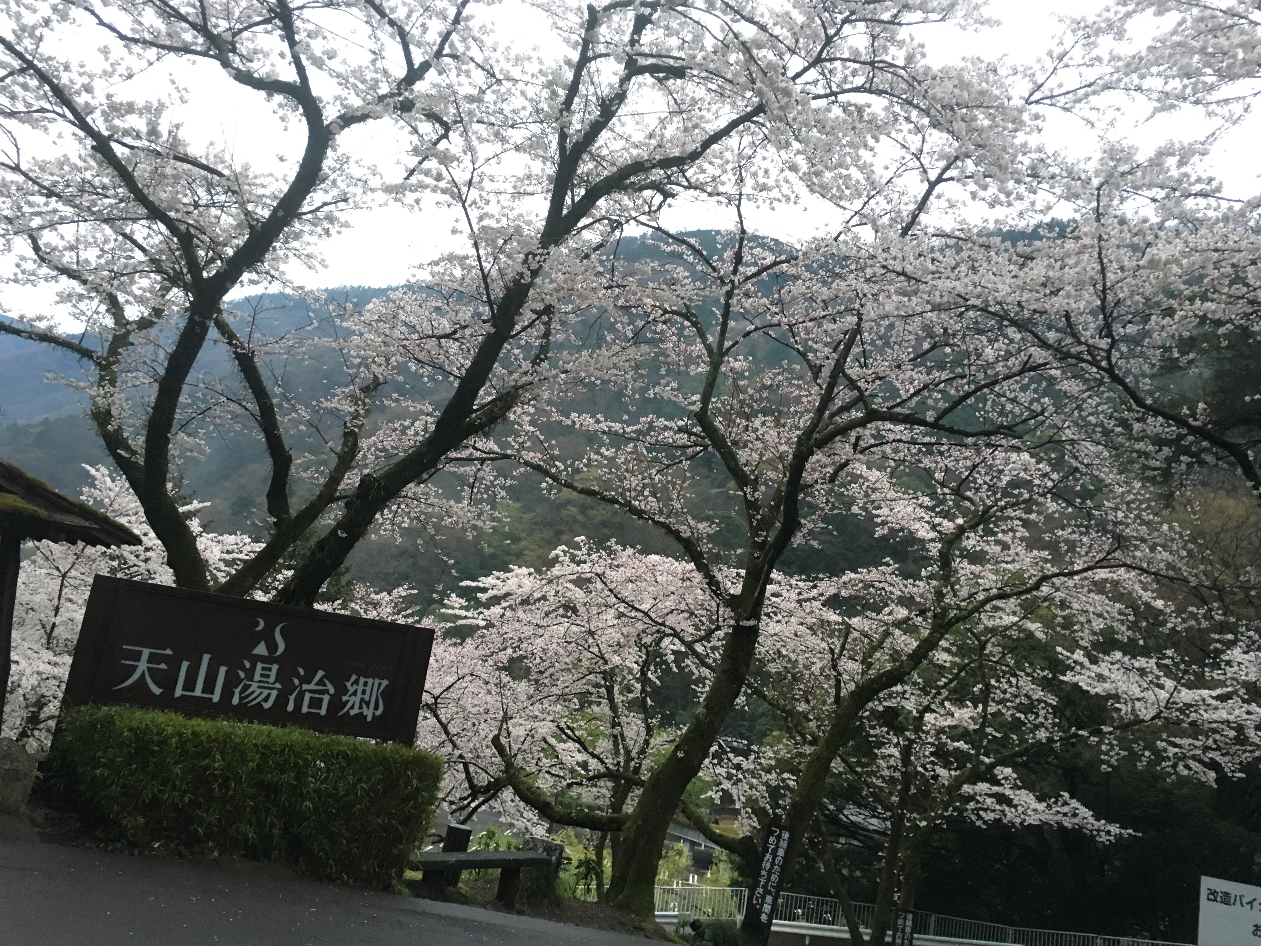 f:id:cooling1989:20160405044106j:image f:id:cooling1989:20160405044106j:image