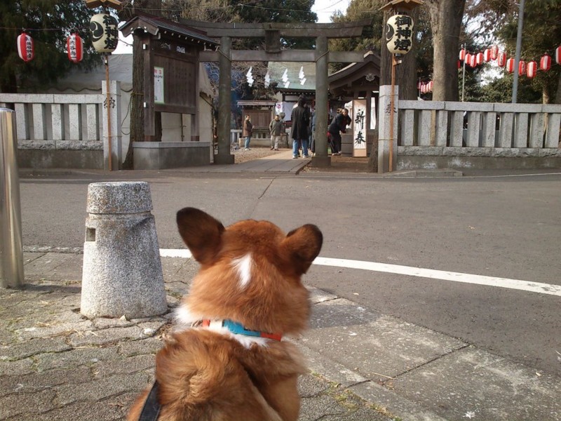 f:id:corgi_corgi:20120101135545j:image:w360 f:id:corgi_corgi:20120101135545j:image:w360
