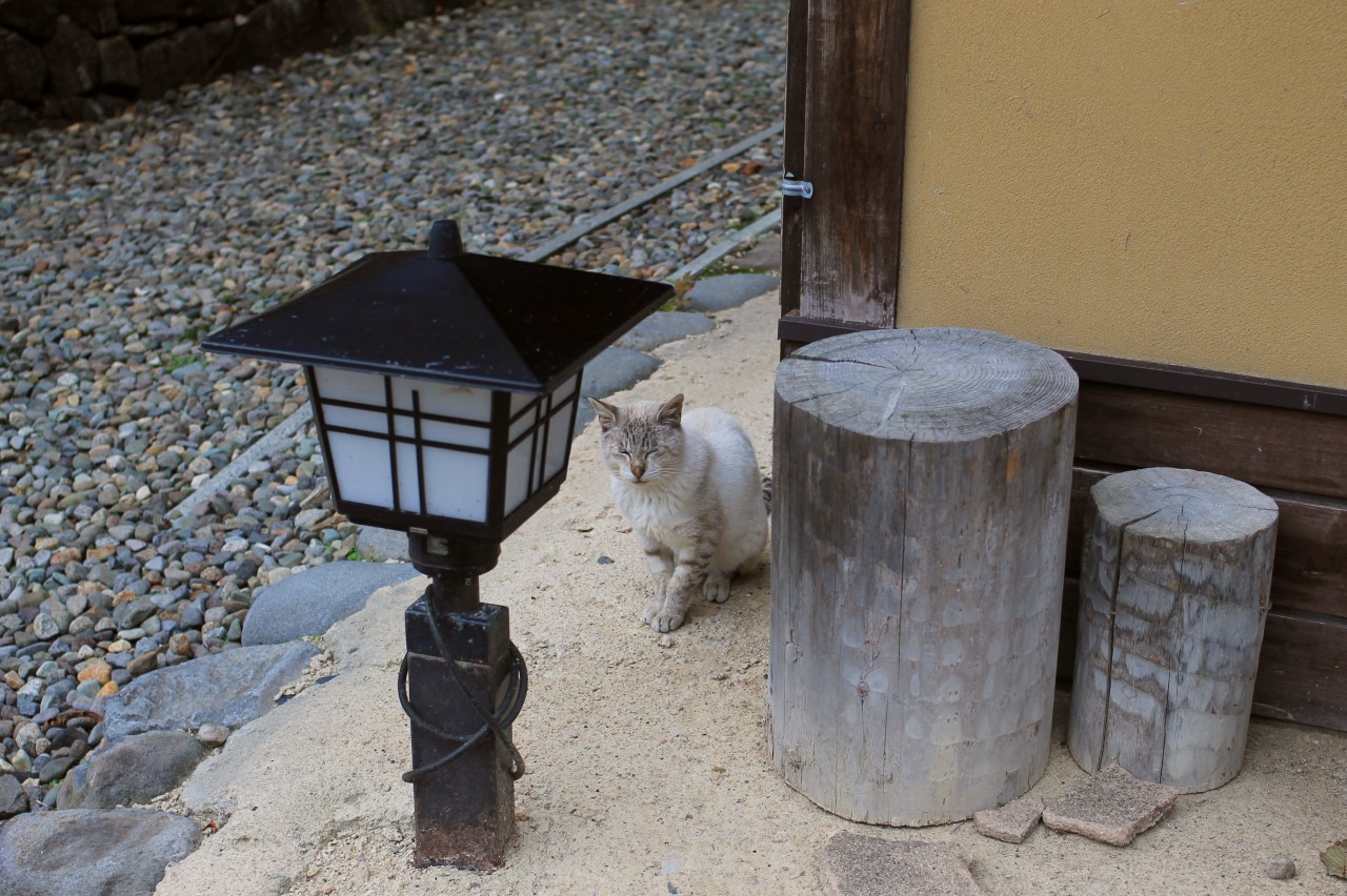 f:id:corocoma:20141001194559j:plain f:id:corocoma:20141001194559j:plain