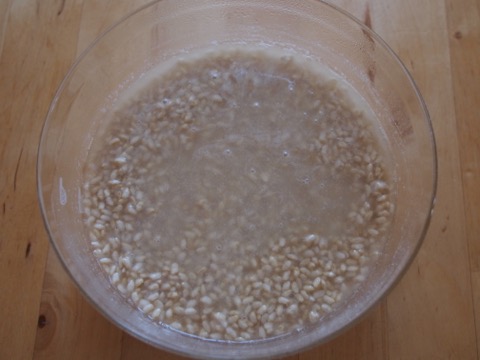 f:id:coruri:20150105133908j:plain