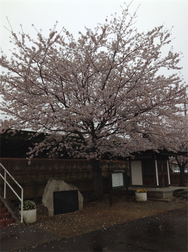 f:id:cos-jonetsu:20160413100931j:image f:id:cos-jonetsu:20160413100931j:image