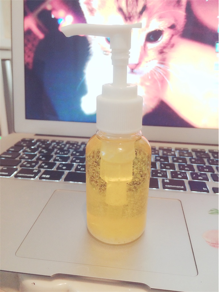 f:id:cottoname:20160602110952j:image:w400