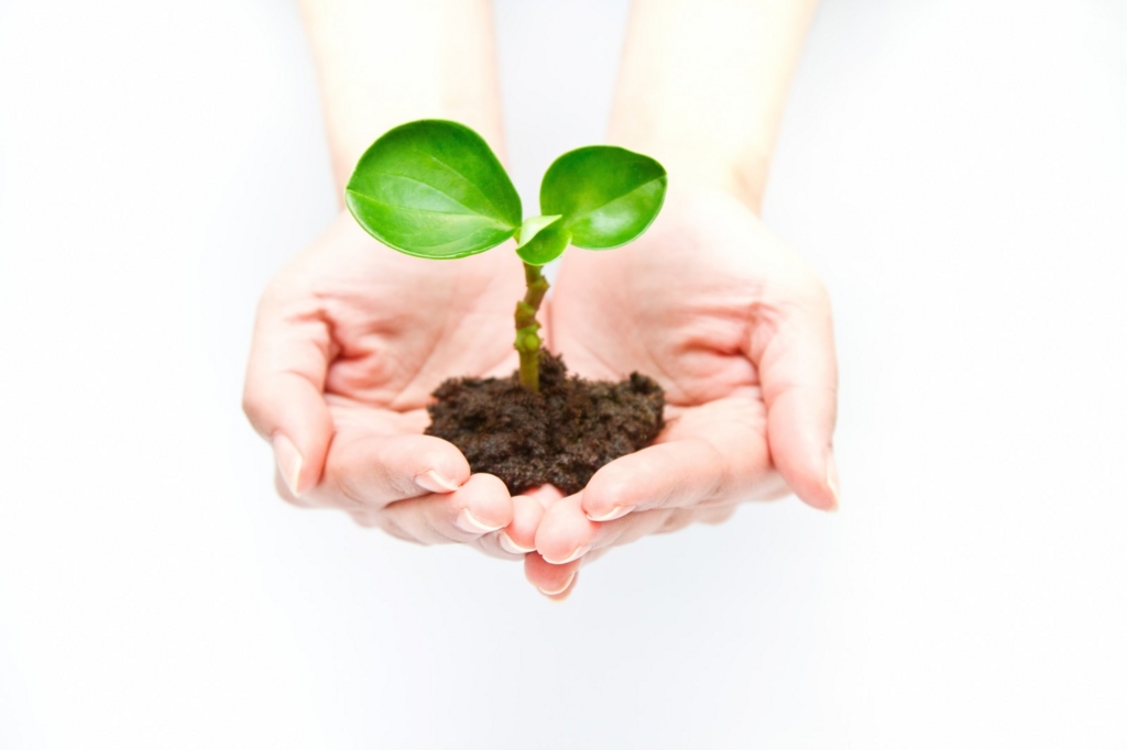 f:id:counselorblog:20160528202619j:plain