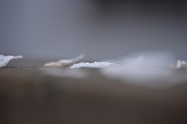 f:id:cranberryca:20150609060046j:plain