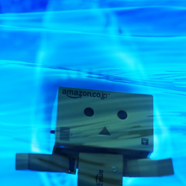 f:id:cranberryca:20160209021243j:plain