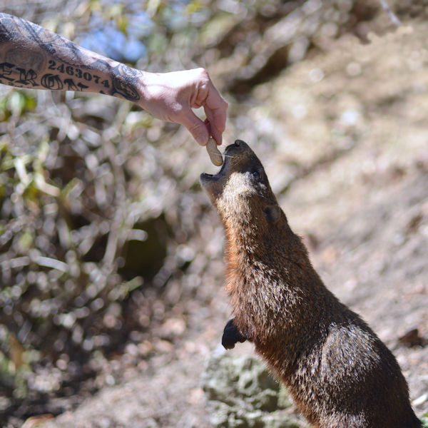 f:id:cranberryca:20160425232246j:plain