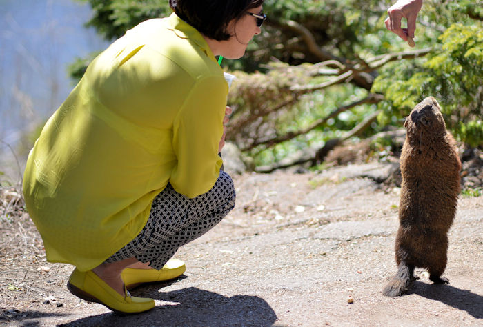 f:id:cranberryca:20160425232603j:plain