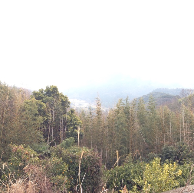 f:id:creampannna:20150324084617j:plain f:id:creampannna:20150324084617j:plain