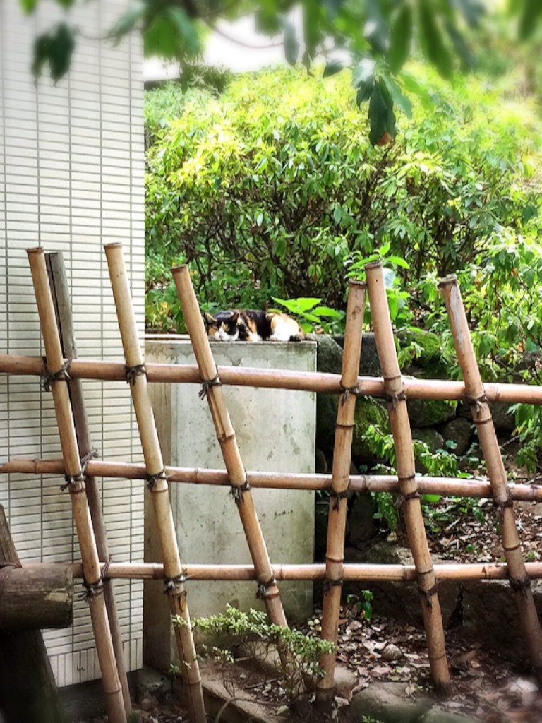 f:id:creampannna:20150810081114j:image f:id:creampannna:20150810081114j:image