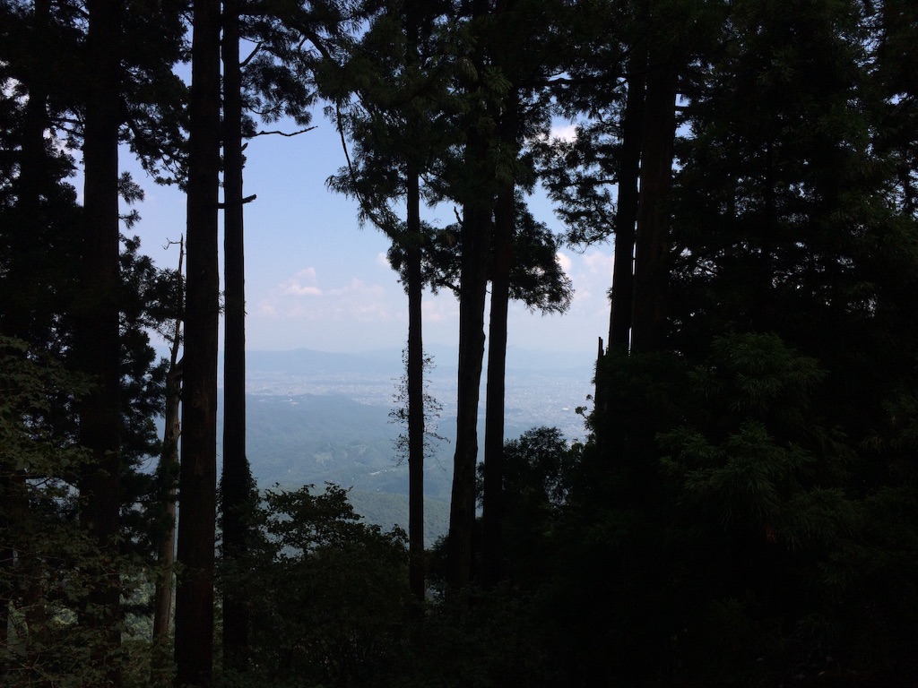 f:id:croccel:20150809031341j:image f:id:croccel:20150809031341j:image