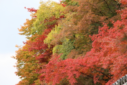 f:id:croissant-croissant:20131123210955j:plain f:id:croissant-croissant:20131123210955j:plain