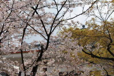f:id:croissant-croissant:20140510130815j:plain f:id:croissant-croissant:20140510130815j:plain