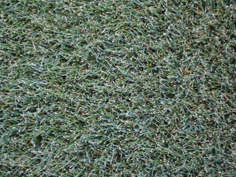 f:id:crowngolf:20121231020429j:plain f:id:crowngolf:20121231020429j:plain