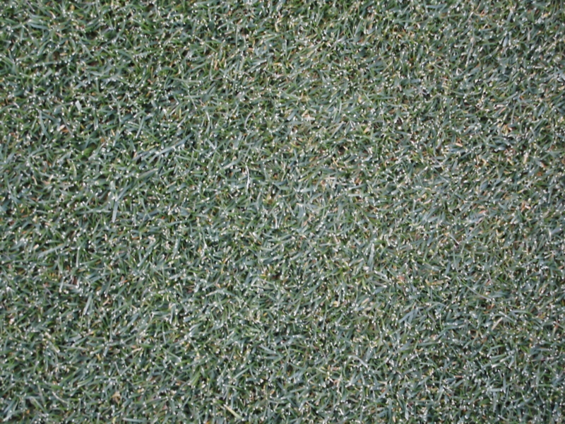 f:id:crowngolf:20121231020441j:plain f:id:crowngolf:20121231020441j:plain