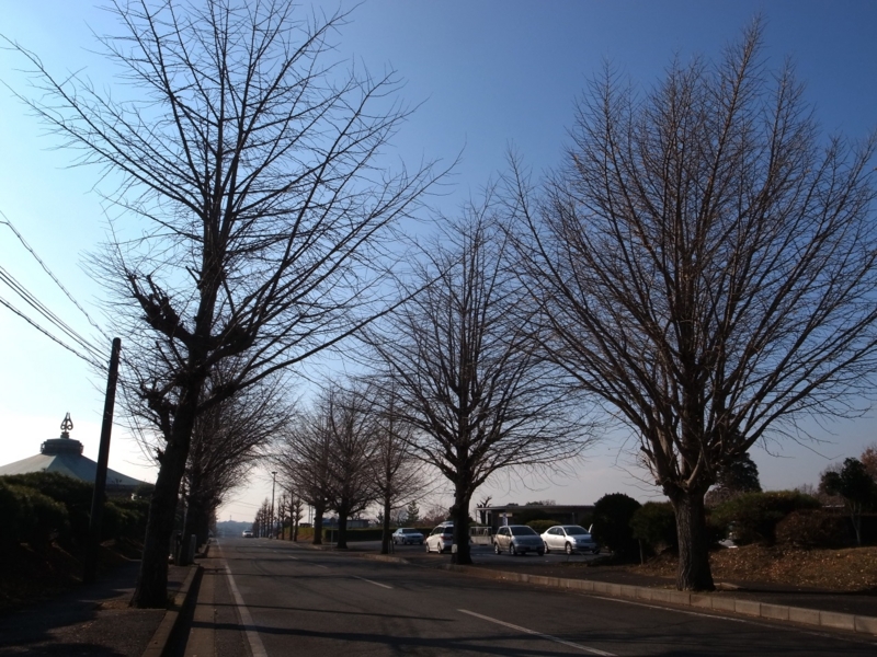 f:id:crystal0207:20141230111957j:plain