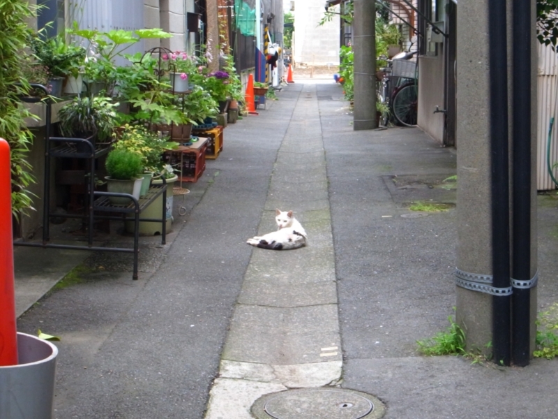 f:id:crystal0207:20150613153515j:plain