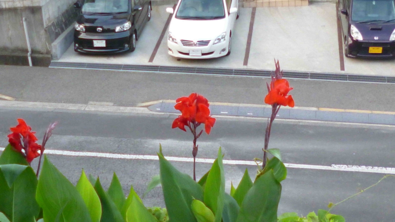 f:id:crystal23:20130718160839j:plain