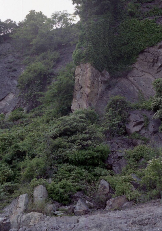 f:id:crystal23:20130827211134j:plain