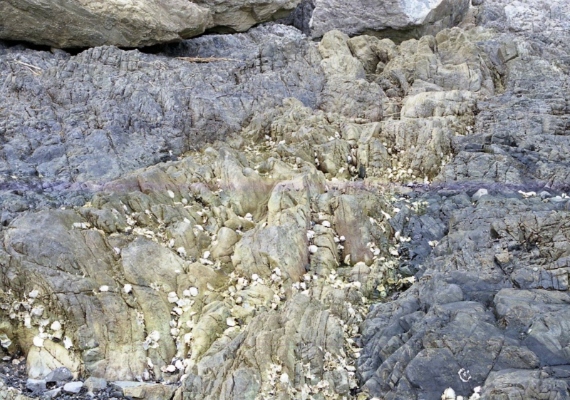 f:id:crystal23:20130827211228j:plain