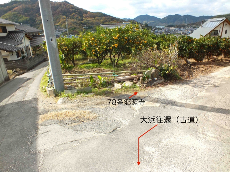 f:id:crystal23:20141206121342j:plain f:id:crystal23:20141206121342j:plain