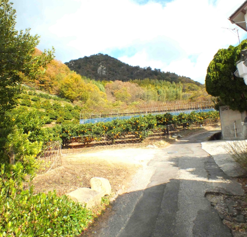 f:id:crystal23:20150123010514j:plain f:id:crystal23:20150123010514j:plain