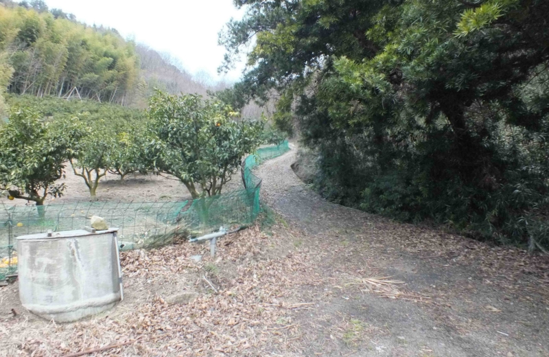 f:id:crystal23:20150219202430j:plain f:id:crystal23:20150219202430j:plain