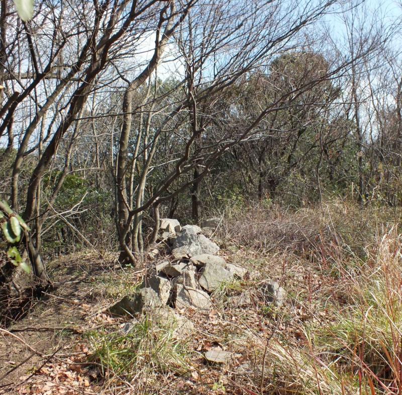 f:id:crystal23:20150302212221j:plain f:id:crystal23:20150302212221j:plain