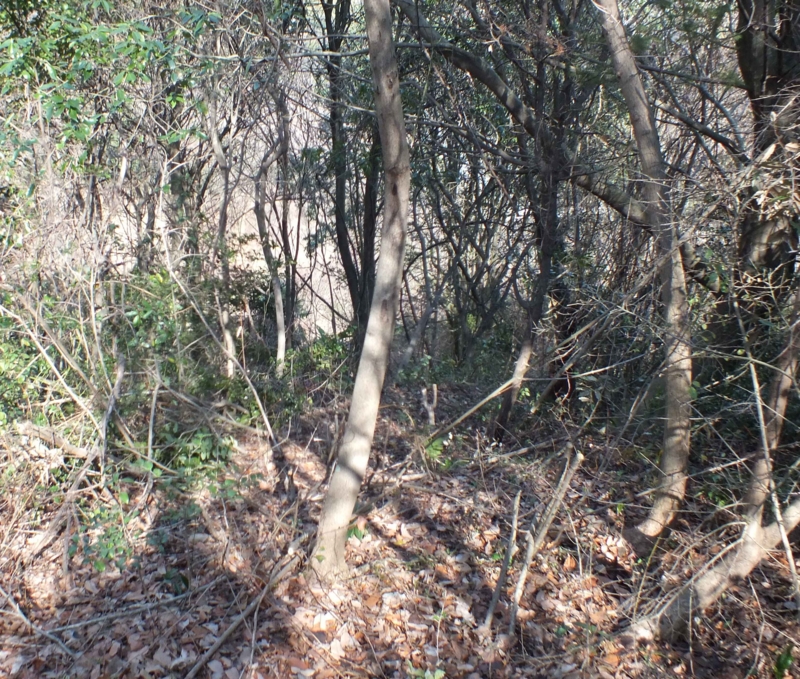 f:id:crystal23:20150302213257j:plain f:id:crystal23:20150302213257j:plain