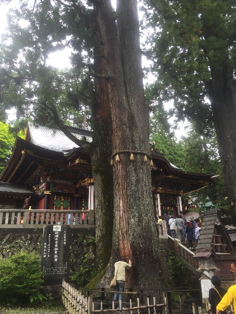 f:id:csbeaute:20150910214756j:image f:id:csbeaute:20150910214756j:image