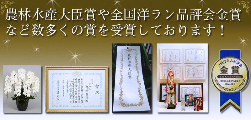 f:id:ct5xab7kyahoocojp:20140426104652j:plain f:id:ct5xab7kyahoocojp:20140426104652j:plain