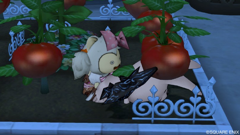 f:id:curenameko:20160422173256j:plain