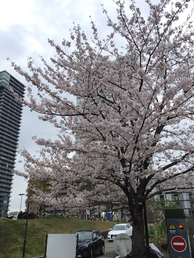 f:id:cycland_nakazawa:20160404094657j:plain f:id:cycland_nakazawa:20160404094657j:plain