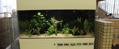 f:id:d-chuo:20131025165054j:plain f:id:d-chuo:20131025165054j:plain